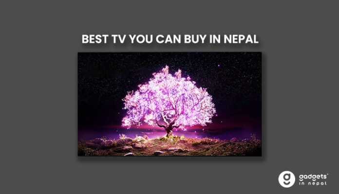 Best tv you can buy in nepal