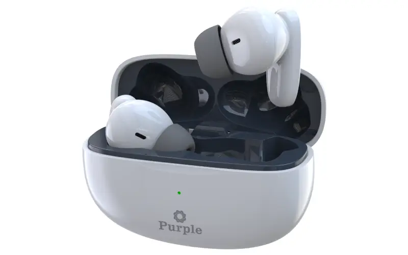 Purple earbuds PEB-004
price in nepal 