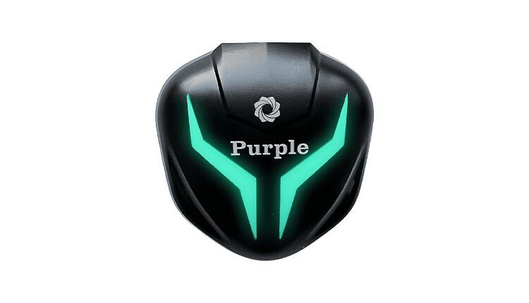 Purple gamerz gaming earbuds price in Nepal