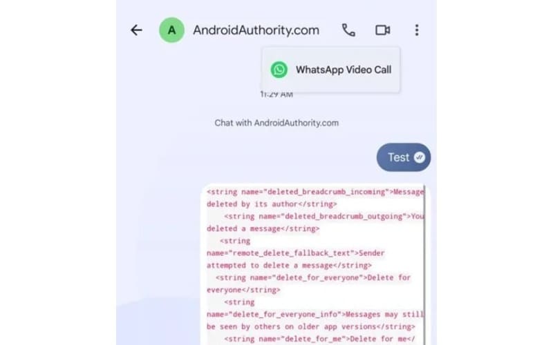 Google Messages WhatsApp video call